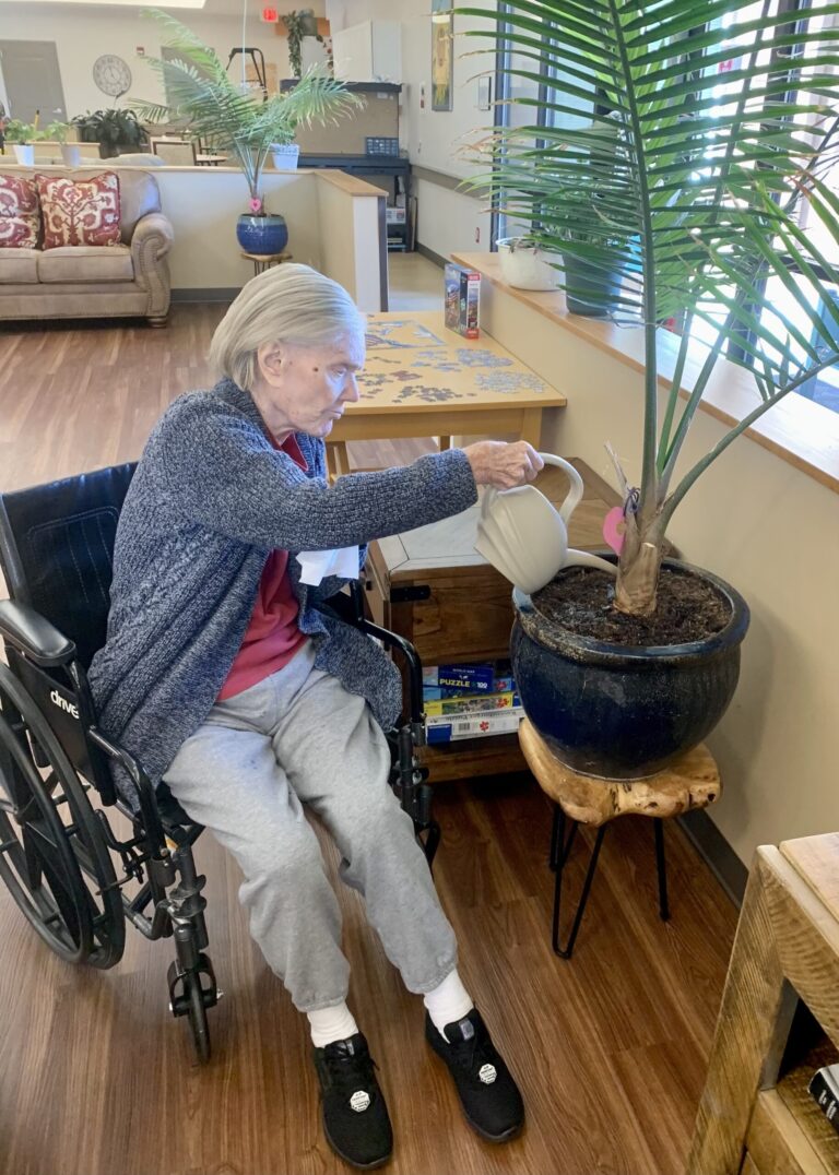 MC watering plants